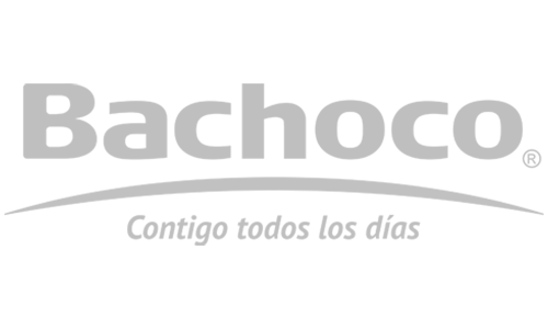 Cliente_Satech_Bachoco